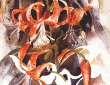 demuth tiger lilies 1920. �����, ������