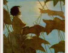 SJ-JWS24. ����, ������ ��������