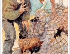 bs JerryPinkney TheStorkAndTheCranes. , 