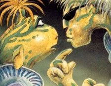 Base Graeme WB25 Sprocc and Skat D50. ����, ����