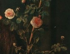 ������� � ������� ���. ��������. �������� ������� ��������� (1776-1857)