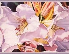 bs-flo- Susan Mc Kinnon Rasmussen- Spring Fanfare. ,   Kinnon