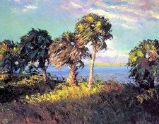 gentle breezes csg040 cabbage palms. ,  