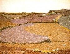 36246. ���������-���������