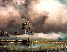 harold newton-illustrated landscapes csg013. , 