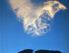 Funny 201. ����� ������ - ���� �����