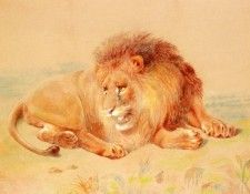 Huggins William Lion. ,  