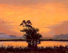 mary ann carroll-illustrated landscapes csg039. ,  