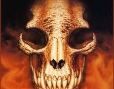 QMan CC TAOC 491 Deadspeak. ������, �����