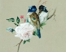 ��� ����� �� ����. 1888. �������� ������� �������� (1817-1898)