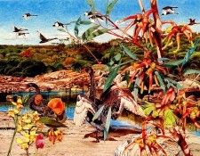 Oz AGls045 Tony Oliver Black Swan. ������, ����