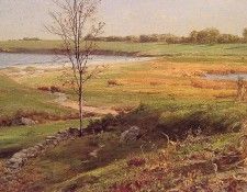 Salt Marsh by the Sea. ,  