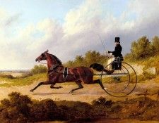 Herring Snr John Frederick The Famous Trotter Confidence Drawing A Gig. ,  