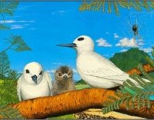 pa KevinStead 06 WhiteTern. ����, �����