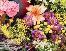 Amanda Bradley - November 2001, De. ������, ������