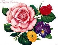IS6 047 Kathrine Salentine 00 (Flowers). Salentine, 