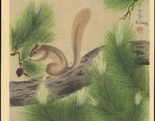 pic13695. ���, ������