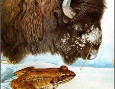 pa TonyOliver FrogsSingSongs 10b. ������, ����