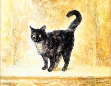 lrsSuemiJun Book2 022. Suemi, ����