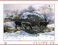 CSA aping WangKeDa 019. ��� �� Da