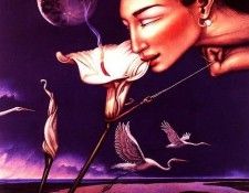 00518. �����, �����