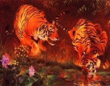 lrs Giam Truong Buu Save the Tigers. Giam,  
