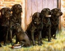 Ipl 0023 The New Recruit NigelHemming sqs. �������, ������� � ����� ������