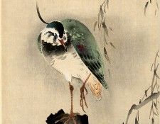 pic02249. �����