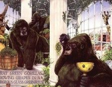 lrsBaseGraemeGreatGreenGorillas. , 