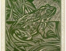 AlcornStephen-HeresFrog-sj. Alcorn, 