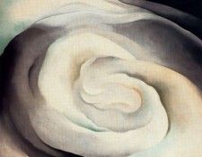 32336. OKeeeffe, ������