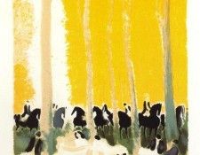 46465. Brasilier, �����