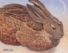 bs- Nicholas Wilson- Feathered Friend. , 