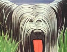 katz sunny no 4 1971. ���