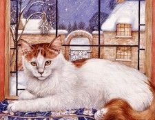 Cook Debbie   01 2000 end. , 