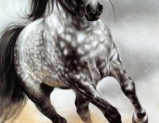 kb Harrison Glorious Gray. , 