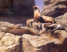 NancyHowe Sunday ec. ����� Howe