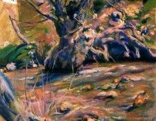 41611. ������, ������ ����� ��