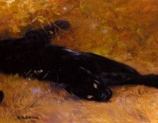 Swan Cuthbert Edmund The Black Panther. ,  