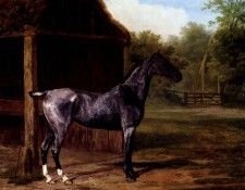 Agasse Jacques Laurent Lord Rivers Roan Mare In A Landscape. Agasse, ���-������