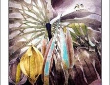 CSCU aping 2k3 wang ke yin 056. ��� ��� ��