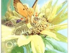 kb Cross Tom Sum Sunflower Fairy. , 