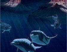 Beneath the Grand Master. Schimmel, ������