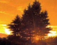 Sunset Tree. , 