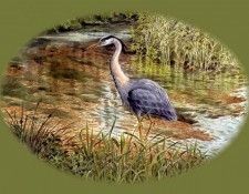 waters edge csg016 heron paradigm of the patient angler. �������, ���������