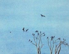 16741. ����, �������