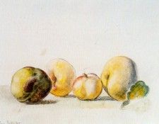 44443. ����, ��������� ���������� ��