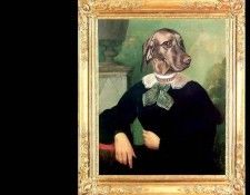 dog portraits csg031 alma mater. , 