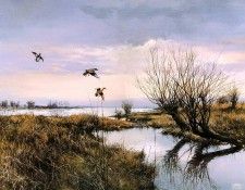 Verstappen Pieter Nature 38 Sun. Verstappen, 