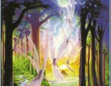 Robin Koni - Fairy Insight (Abraxsis). ����, �����